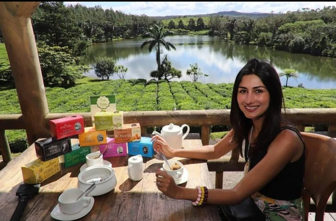 Visitor enjoying a tea tasting with colorful cups